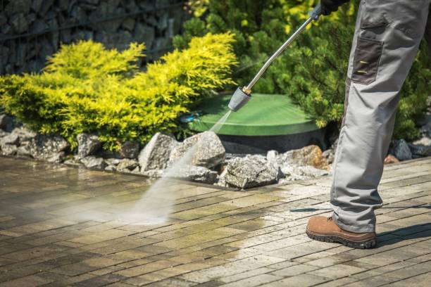 Best Pre-Holiday Cleaning  in Kimberling City, MO